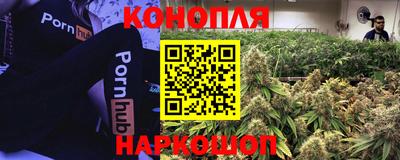 молекула духа Балахна