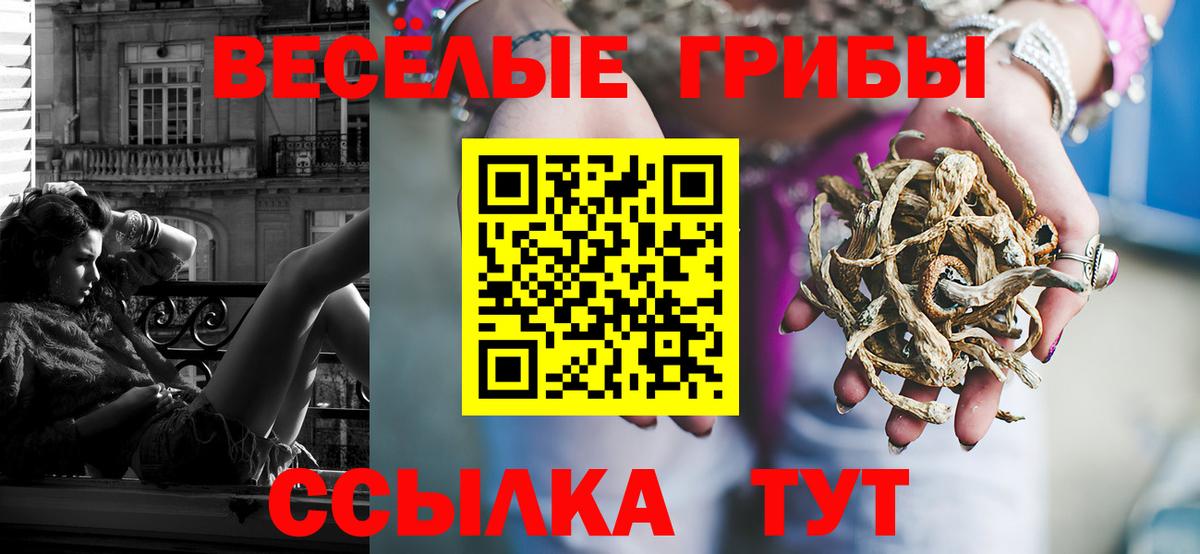 Галлюциногенные грибы GOLDEN TEACHER Вольск