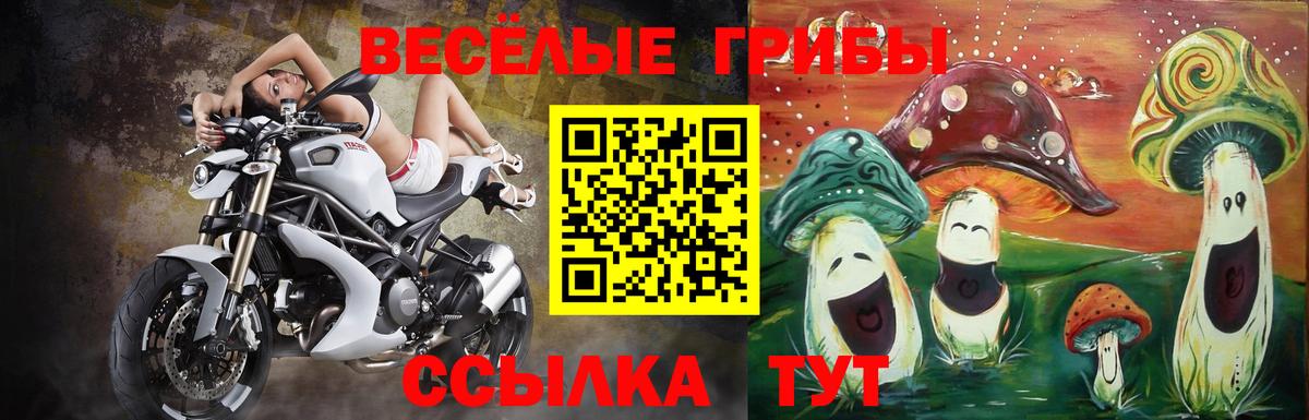 Вольск  Псилоцибиновые грибы ЛСД  Вход с VPN 